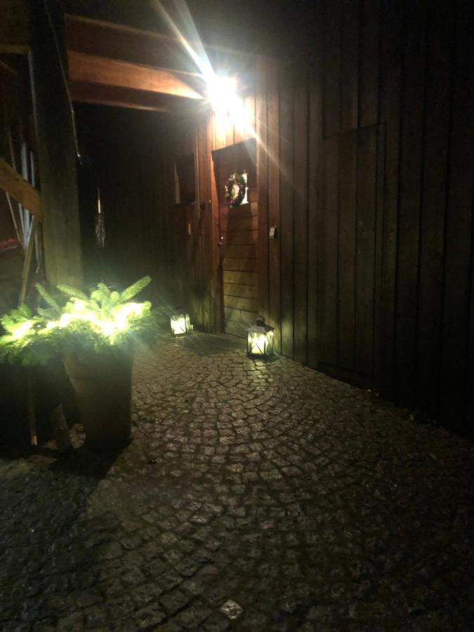 Horsky Chalet Harrachov Extérieur photo